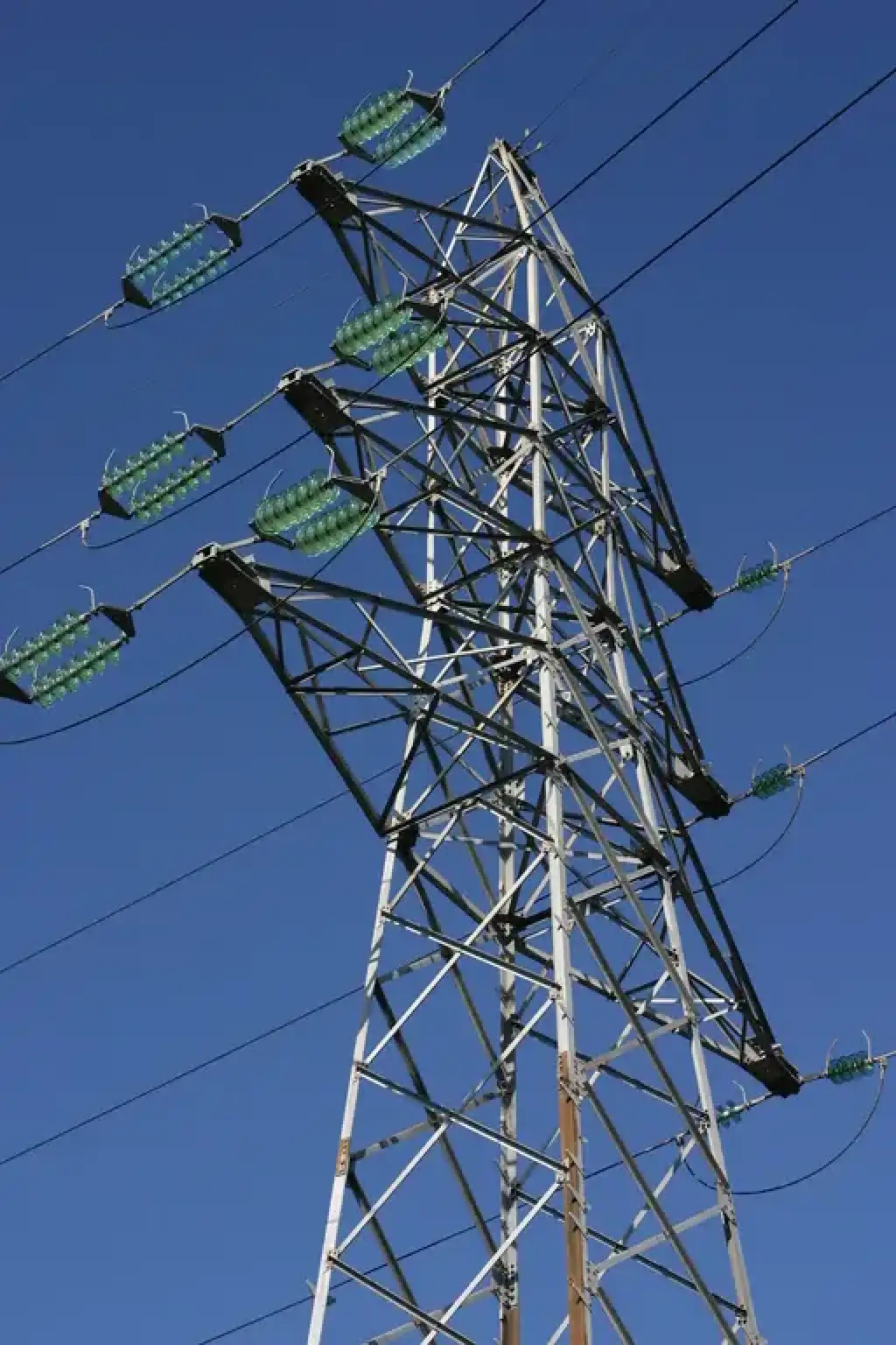 L'expertise des Réseaux électriques en terrains exigeants